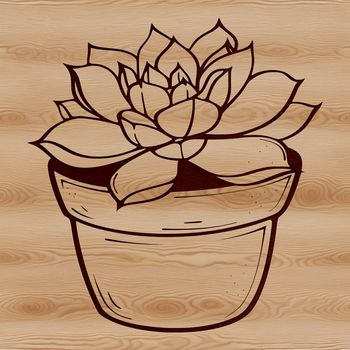 An isolated graphic representation of a succulent plant, often used in gardening and craft projects.