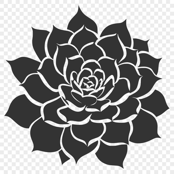 Illustrative depiction of a desert plant, suitable for floral design and gardening projects.