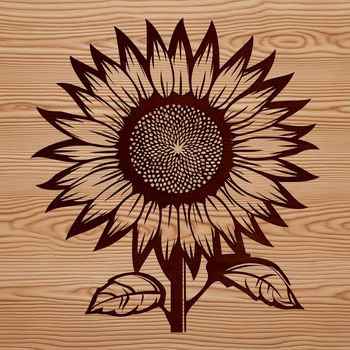 A large, bright yellow sunflower with dark center petals, growing in a garden or field.