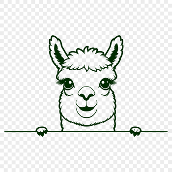 An illustration of a South American camelid animal peeking out from behind a wall.