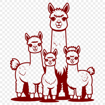 A South American camelid animal with a thick coat and long neck, used in textile production.