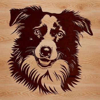 A head-on depiction of a fluffy Australian Shepherd dog breed.