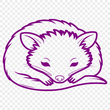 A nocturnal marsupial in a sleeping posture, depicted as a vector graphic.