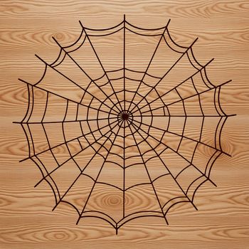 A stylized illustration of a spider web, suitable for vector design and cutting machine use.
