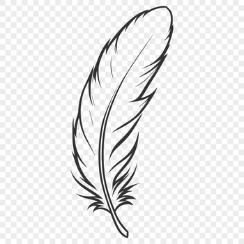 A high-quality illustration of a feather in vector format.