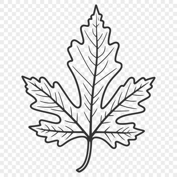 A detailed illustration of a single green leaf with veins, suitable for vector design and cutting machine applications.
