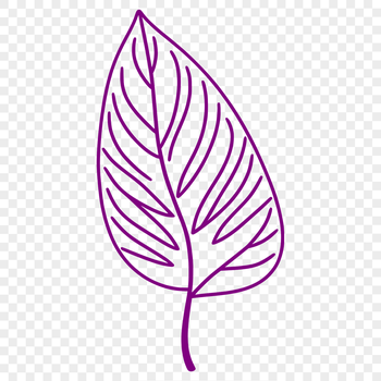 A detailed vector illustration of a single green leaf with veins.