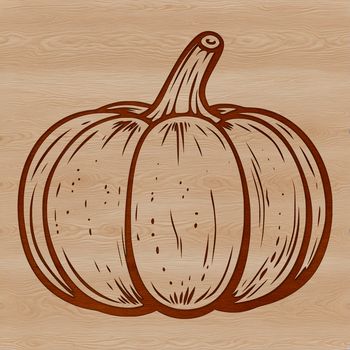 Illustration of a ripe summer squash with rounded shape and green skin.