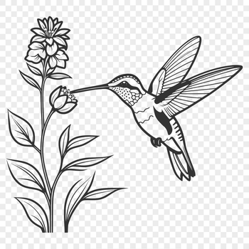 A colorful illustration of a hummingbird perched on a flower, with intricate details and vector lines.