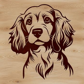 A close-up illustration of a Cocker Spaniel's head, suitable for digital design and printing.