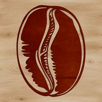 A single coffee bean depicted in a detailed, vector format.