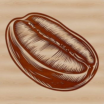 A single coffee bean with visible creases and details, suitable for vector art designs.