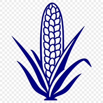 A detailed illustration of a corn kernel in vector format.
