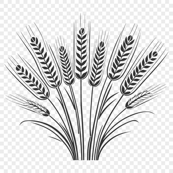 Illustrated wheat graphic in vector format for various uses.