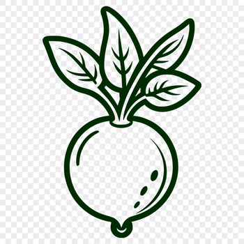 A detailed vector illustration of a single radish plant.