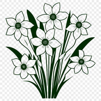 A single stem with three large trumpet-shaped flowers and green foliage.
