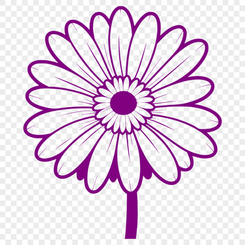 A simple, detailed vector illustration of a daisy flower in bloom, suitable for various design applications.