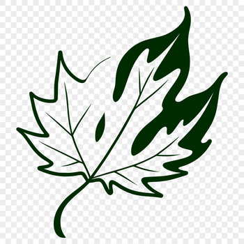 A high-quality, scalable leaf illustration in vector format.