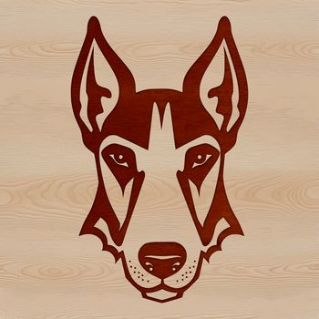 Vector graphic representation of a Doberman Pinscher breed dog's facial anatomy.