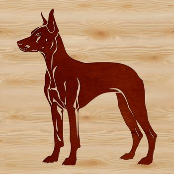 A standing Doberman Pinscher breed dog portrayed in a simple vector design.