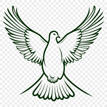 A white dove in flight, symbolizing peace and serenity.
