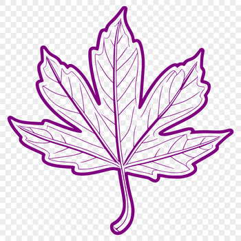 A single illustration of a detailed leaf with veins and edges.