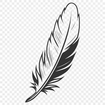 A simple illustration of a single feather with delicate details, suitable for vector art and design projects.