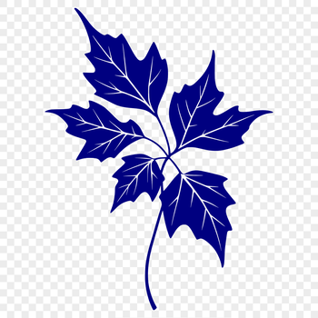 A high-resolution digital illustration of a single green leaf with detailed veins and edges, suitable for vector graphics.
