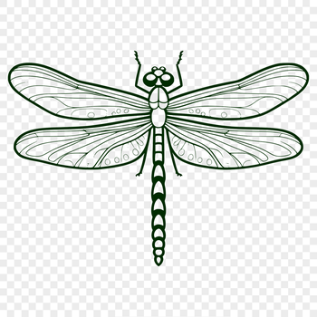An SVG graphic of a colorful dragonfly with intricate details.