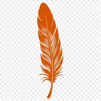 A detailed, high-quality illustration of a single feather, suitable for vector art designs.