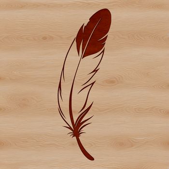 A simple illustration of a feather in vector format, ideal for editing with design software like Illustrator.