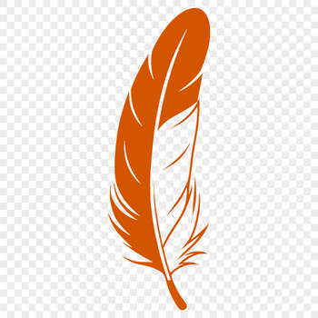 An illustration of a single feather in vector format.