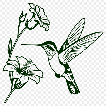 Illustration of a hummingbird with vibrant plumage against a subtle background.