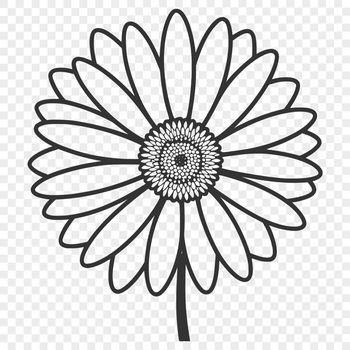 A stylized illustration of a daisy flower with white petals and yellow center, suitable for vector graphics.