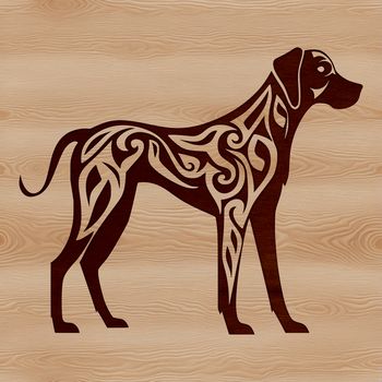 A large breed dog, specifically a Great Dane, standing upright against a simple background.