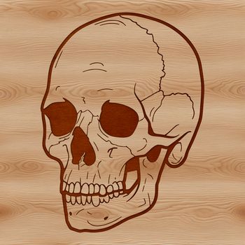 A stylized illustration of a skull with intricate details, suitable for Halloween decorations or tattoo designs.