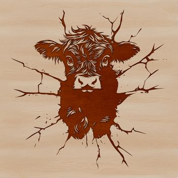 A close-up of a Highland Cow's head with distinctive horns and shaggy coat.