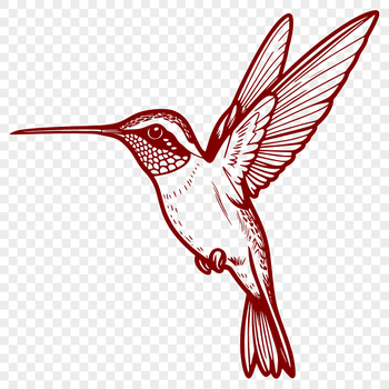 A colorful hummingbird in flight, depicted in vector format.