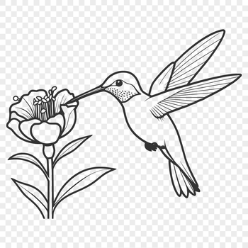 A colorful illustration of a hummingbird in mid-air, surrounded by floral elements.