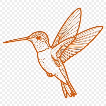 A colorful hummingbird in flight, illustrated in a detailed vector design.