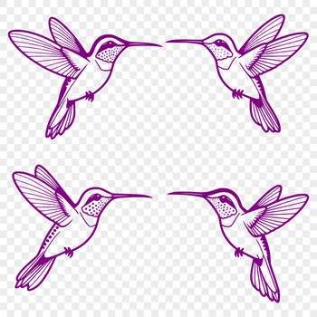 A colorful illustration of a hummingbird in flight, suitable for vector art projects.