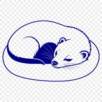 A sleeping ferret, a popular pet animal, rendered as a vector graphic.
