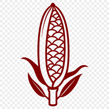 Illustrative corn graphic for vector art projects.