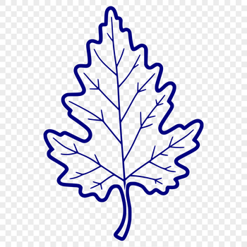 A single green leaf with veins, suitable as clip art or vector design element.