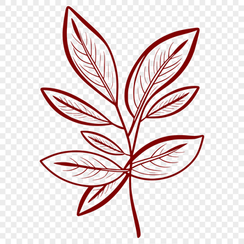 A green leaf with veins depicted in vector format.