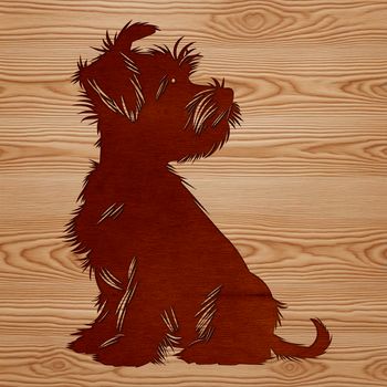 A small dog breed, the Miniature Schnauzer, sitting with a calm expression.