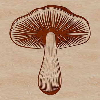 An edible fungus with cap and stem, suitable for vector art designs.