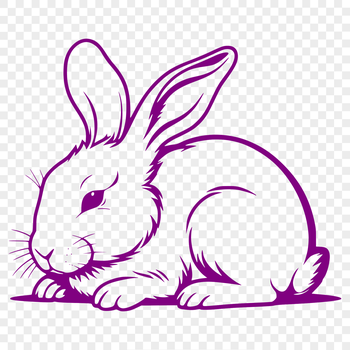 A full-body illustration of a rabbit in a relaxed pose.