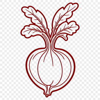 A detailed vector illustration of a radish, suitable for various uses including cutting files and web design.