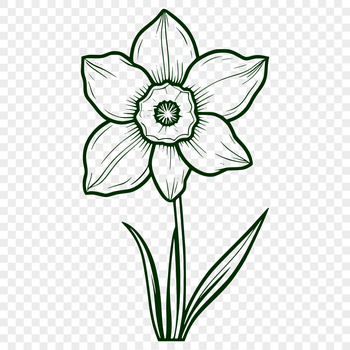 A yellow trumpet-shaped daffodil flower with green leaves, ideal for vector designs.
